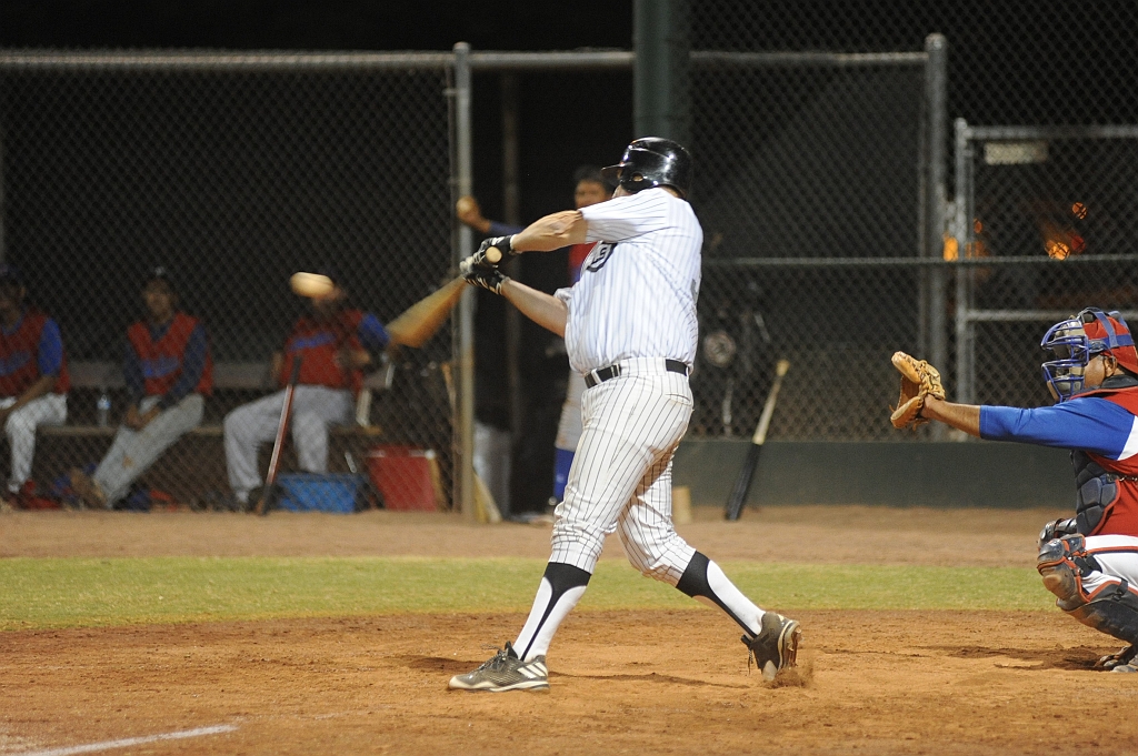 Seals_2017-10-10 (301).JPG - (c)2010 DeVetter